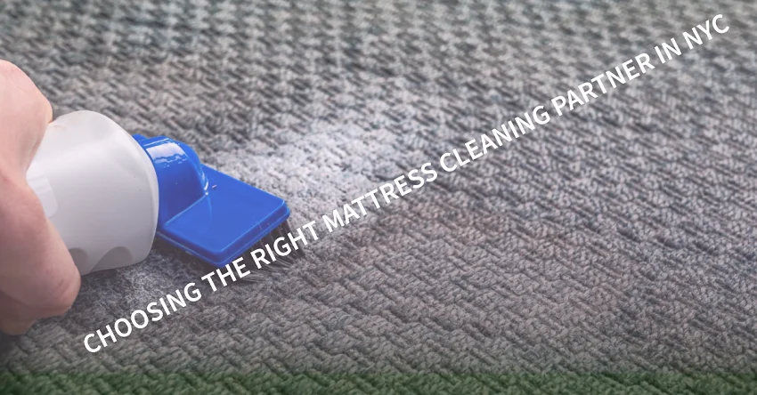 mattress cleaner service