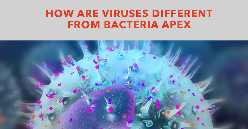 How Are Viruses Different From Bacteria Apex